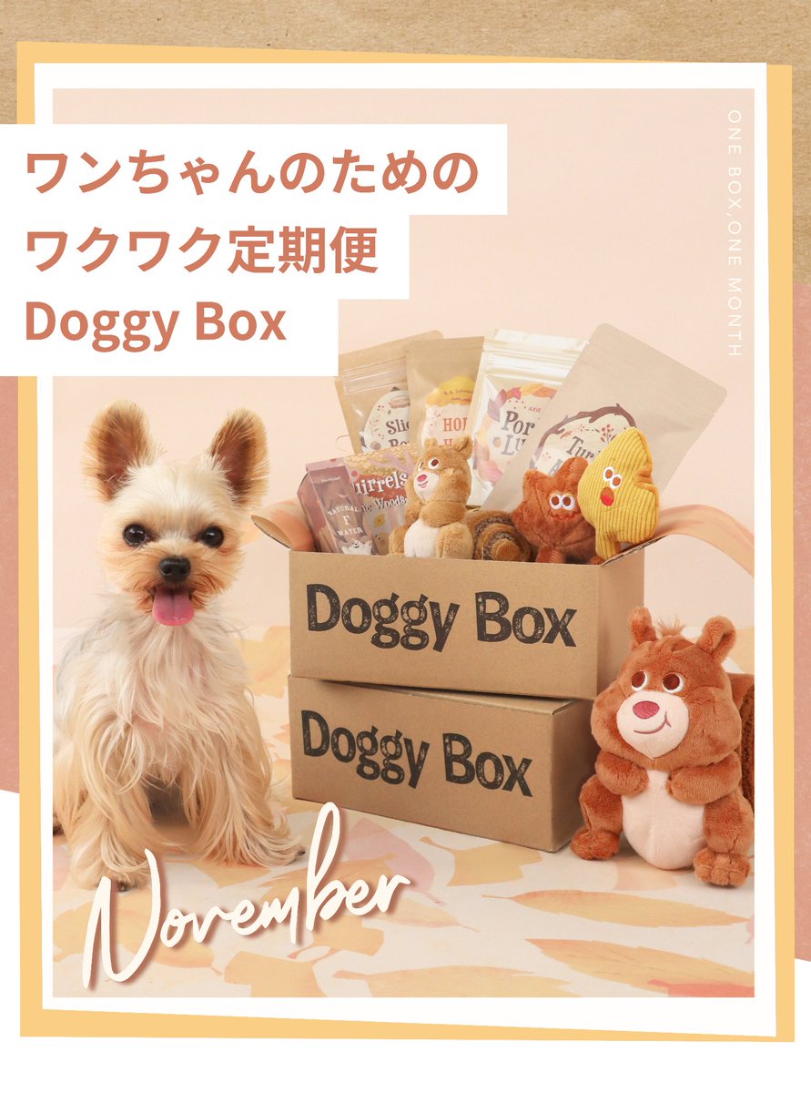 Doggy Box(ドギーボックス) (@doggybox_jp) / Posts / X