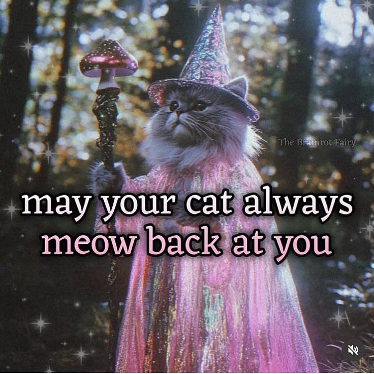 horrorinco's tweet image. Wizardry Felines
#cats #Catfantasy #Wizards #CatsOnX