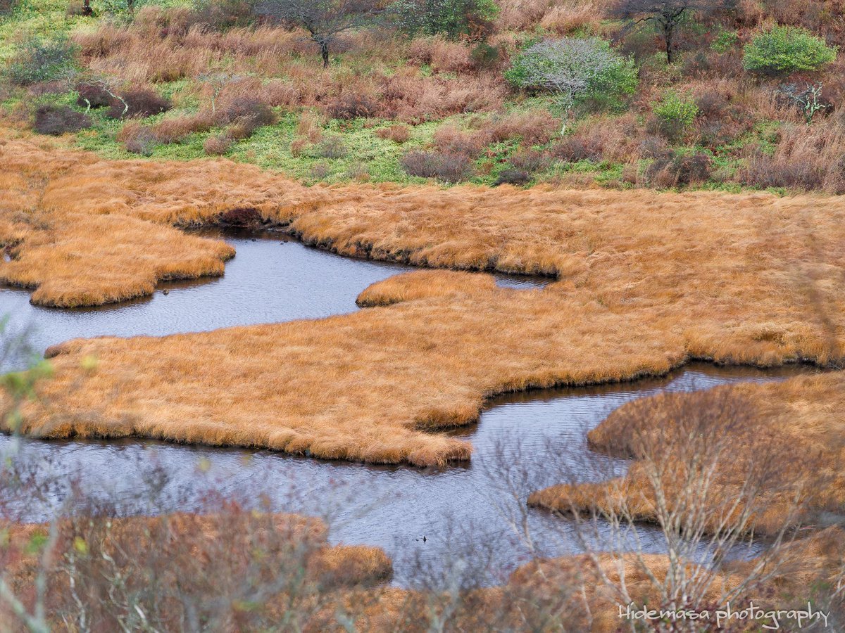Hi_DesignFocus's tweet image. 覚満淵と大沼

[2025.11.1]

#赤城山 
#紅葉 🍁
#ぐんま応援びと
#ぐんまの風景