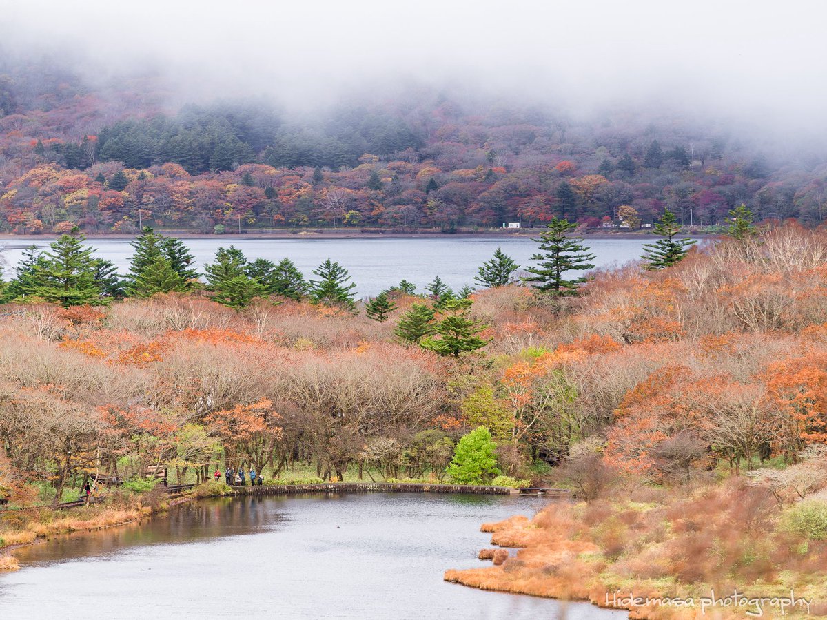 Hi_DesignFocus's tweet image. 覚満淵と大沼

[2025.11.1]

#赤城山 
#紅葉 🍁
#ぐんま応援びと
#ぐんまの風景