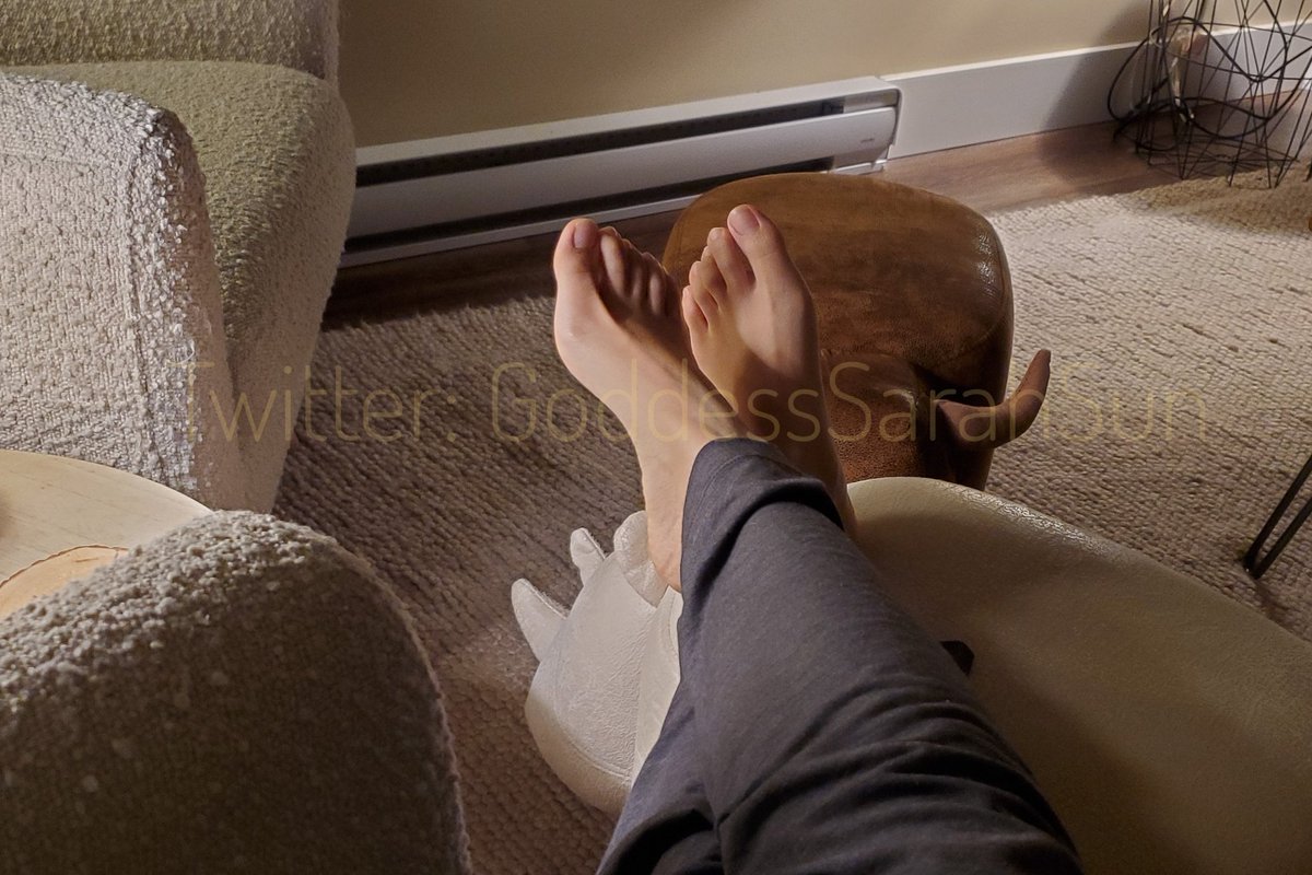 GoddessSarahSun's tweet photo. Imagine having the privilege of being my foot stool. Your life will be complete 😌 https://t.co/u89NvzhPJO