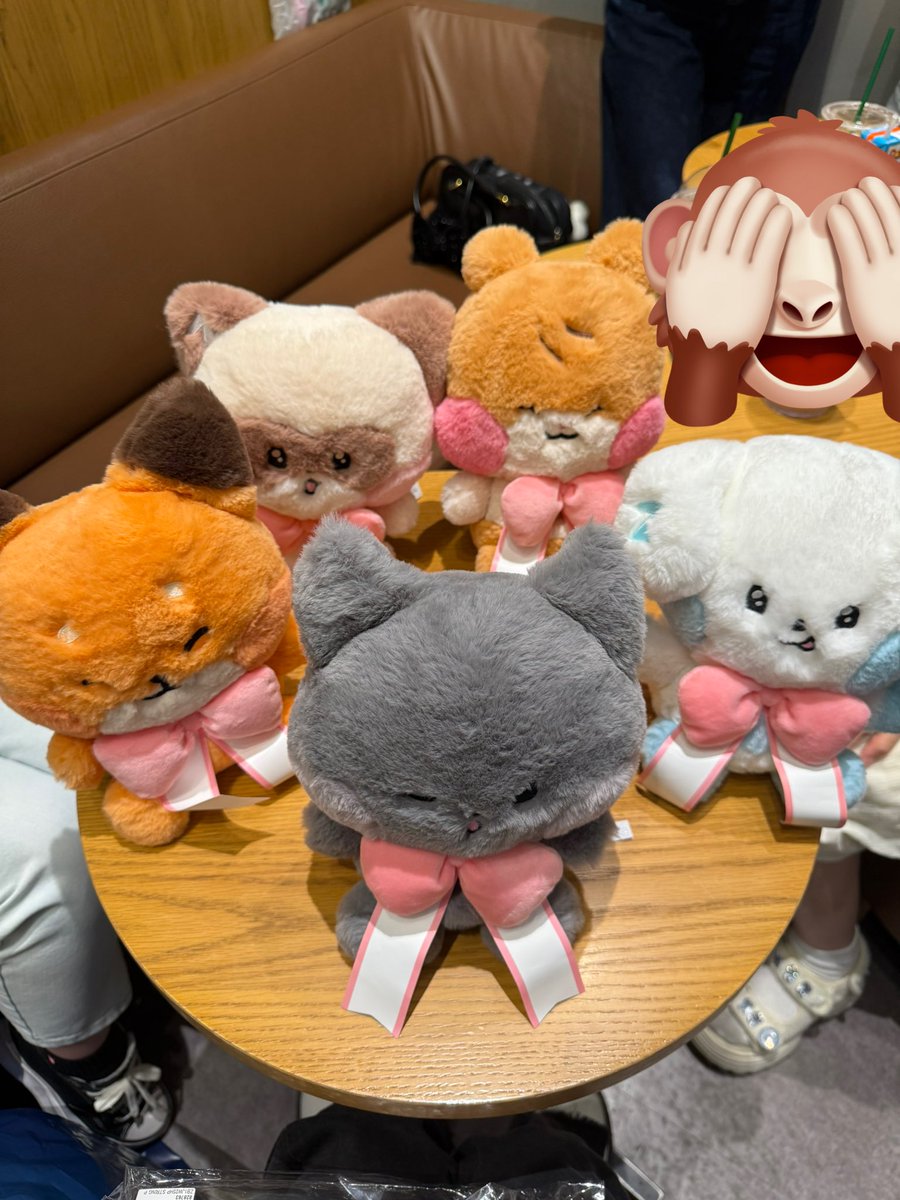 ᐢ.ˬ.ᐢ ♡ tweet media