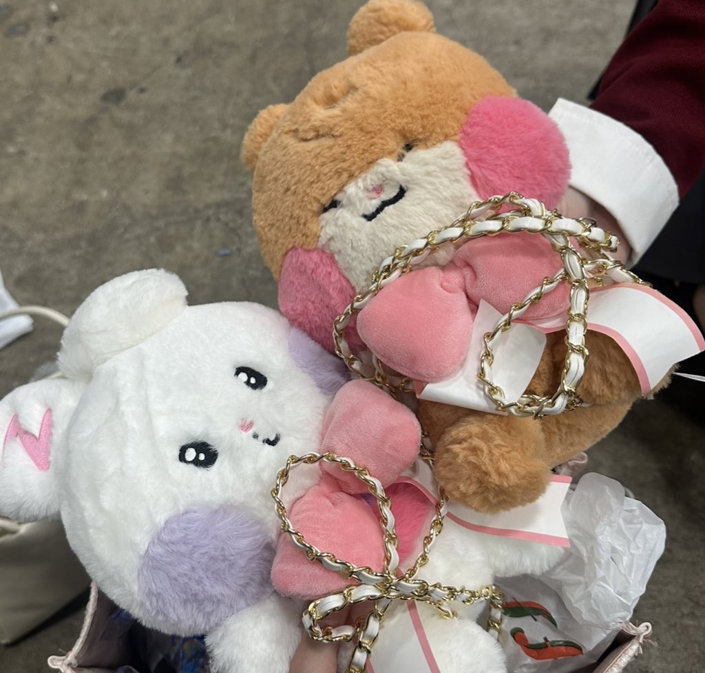 ᐢ.ˬ.ᐢ ♡ tweet media