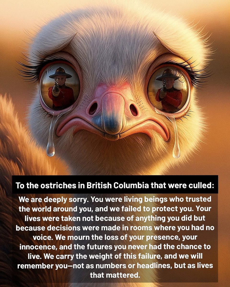 Sassygal (@sassygal1971) on Twitter photo 