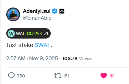 Community_Sui's tweet photo. Just stake $WAL 🙏

The value Airdrop is coming 🪂 https://t.co/jQPZ6vcxu6