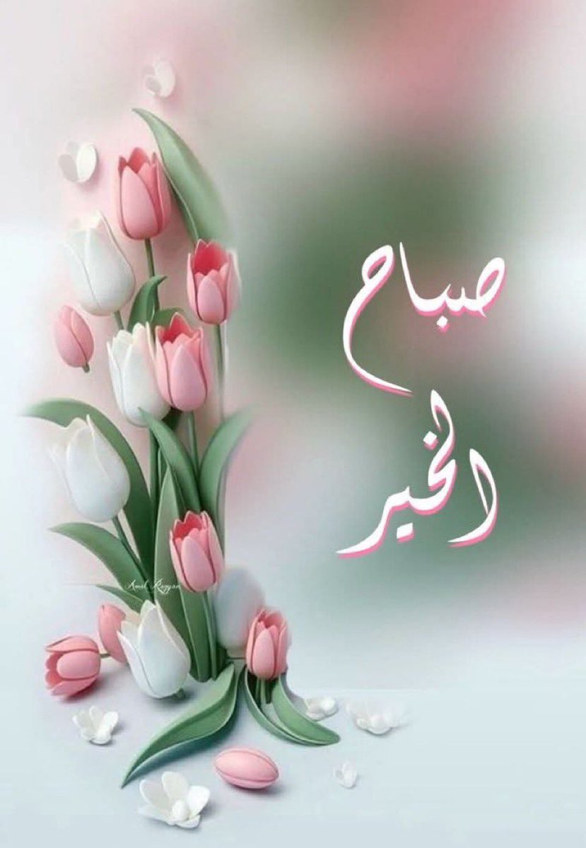 #صباح_الخير 

اللهم صباحاً تُشرق فيه قلوبنا بذكرك، وتُزهر فيه أيامنا برضاك، وتُيسر لنا كل أمرٍ عسر.