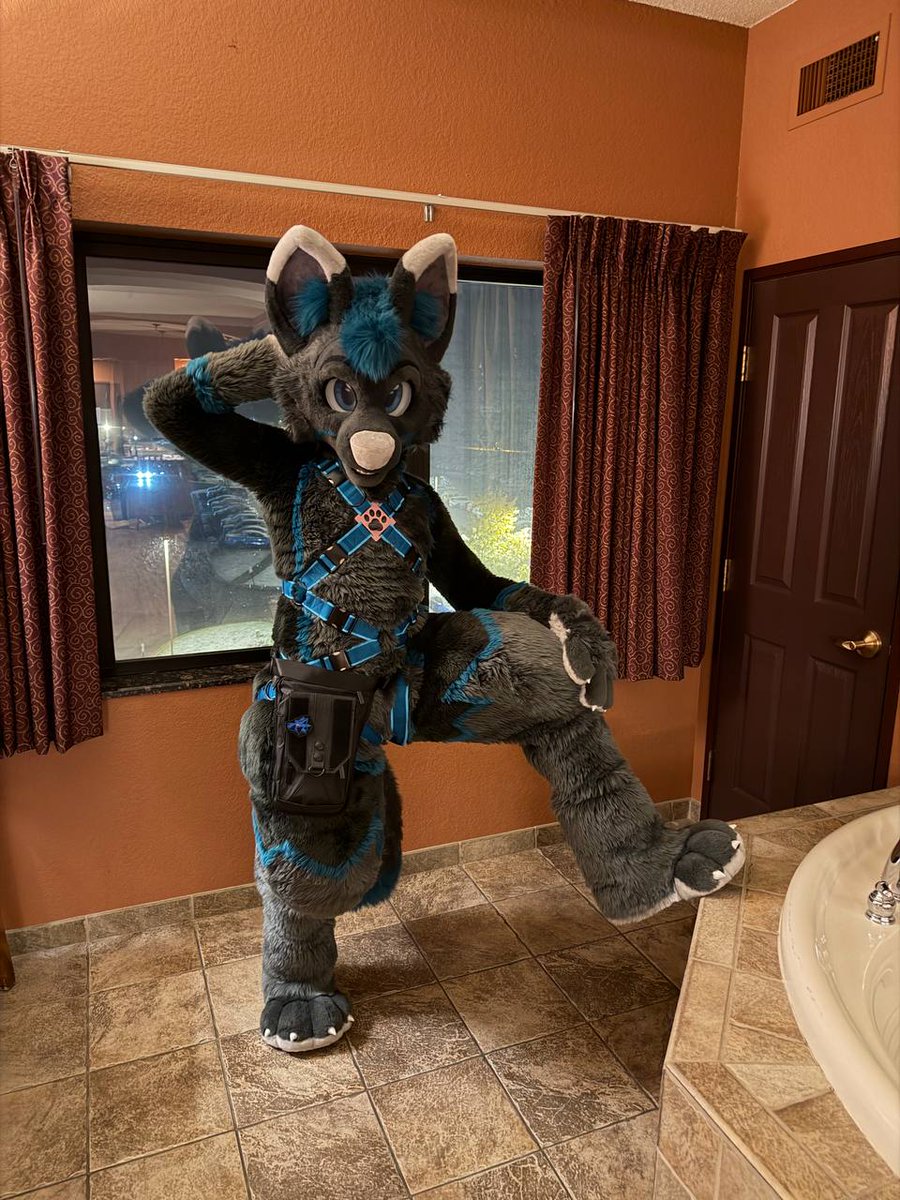 _Will ^_^🔜 MFF, F2 tweet media