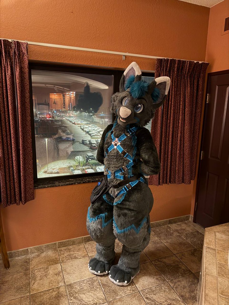 Wolfing it up this weekend at aquatifur...lurve everyone I got to meet hope to see y'all soon! Can't wait for mff :P