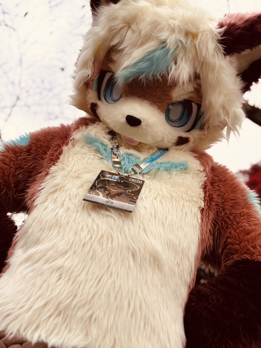 Kemoconお疲れ様でした！
岚土と遊んでくれてありがとうございました！初めましての方にも、ひさしぶりの方にも色々会えて楽しかったです！