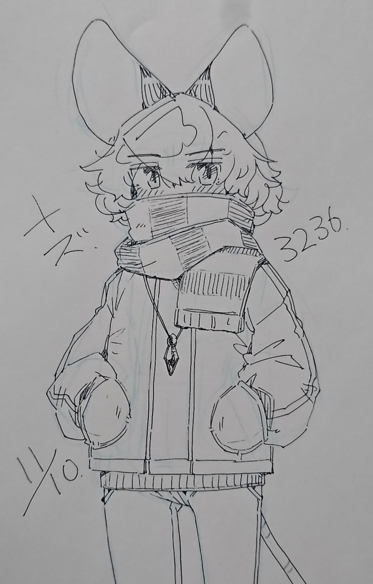 寒くなってきた。

#今日のナズーリン