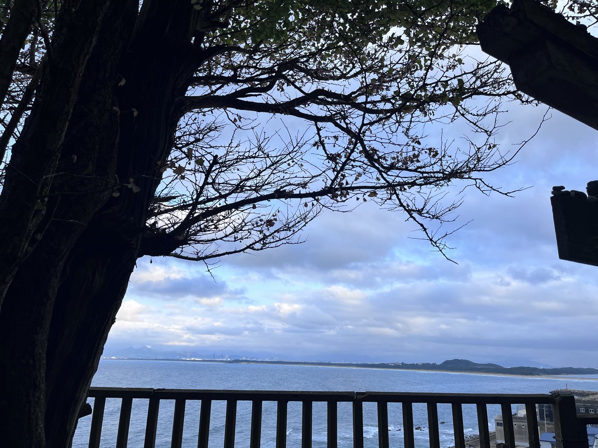 itheck23reds's tweet image. 本来は広島遠征しようと考えていて休みもとっていたけど、チケット取れない上にチーム状況も色々あれだから広島通り越して九州まで来た
夜景撮るの難しいな
意味分からないムーブしてるけど、これから帰る