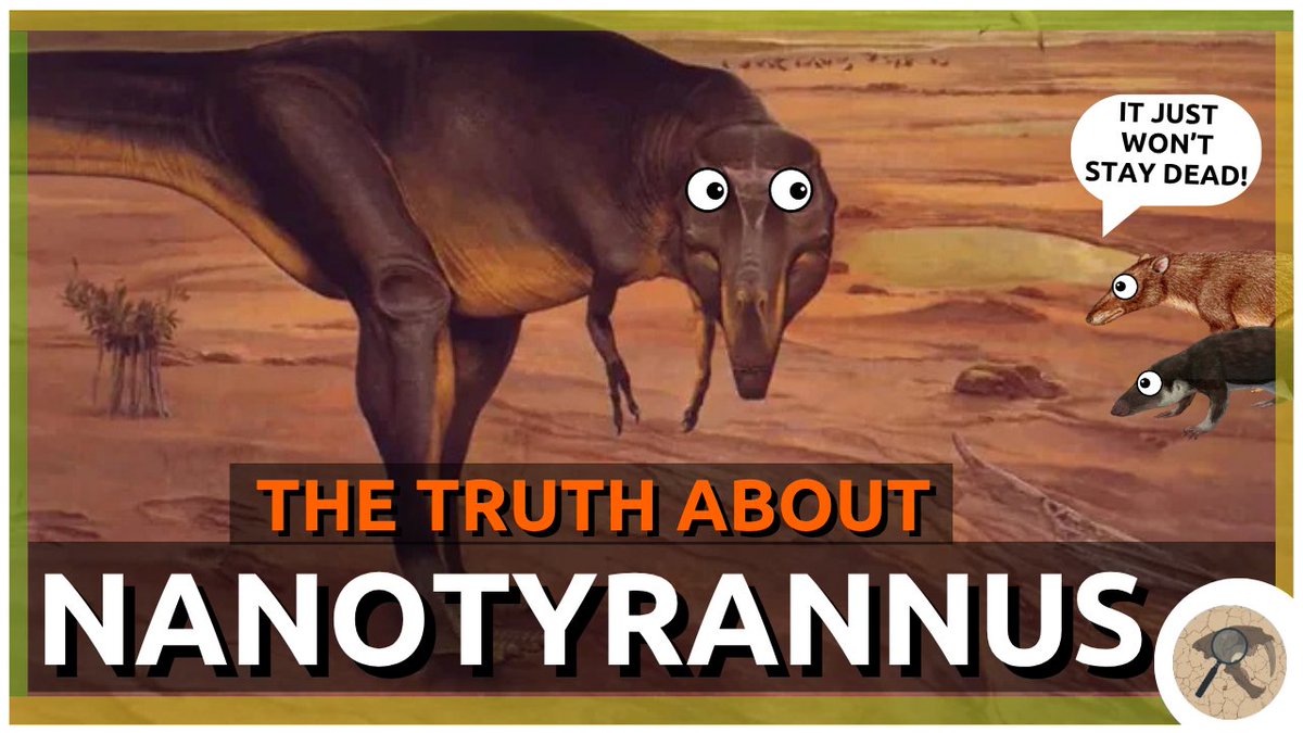 PaleoAnalysis's tweet photo. Option 2 https://t.co/6Fv4pgIfDh