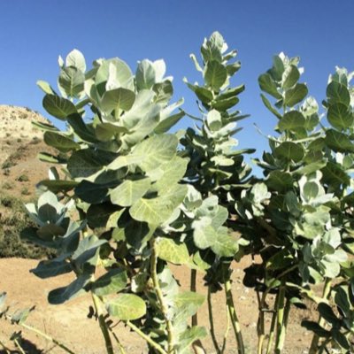 be_frankable's tweet photo. #NewProfilePic https://t.co/CDulcH69ab