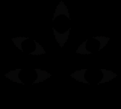 Frogg SMP #FSMP tweet media