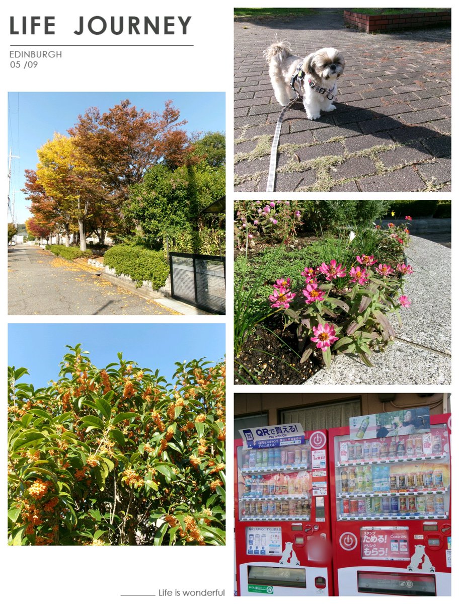 結ゆい (yuiyui) on X