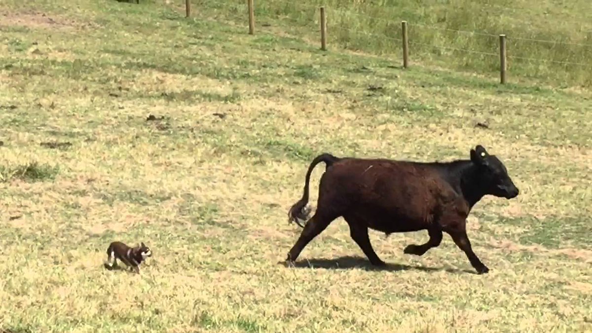 맹순우 개스키야
거기 안 서어                         으아앙