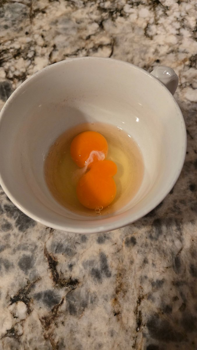 Twin yolks for my ramen:D