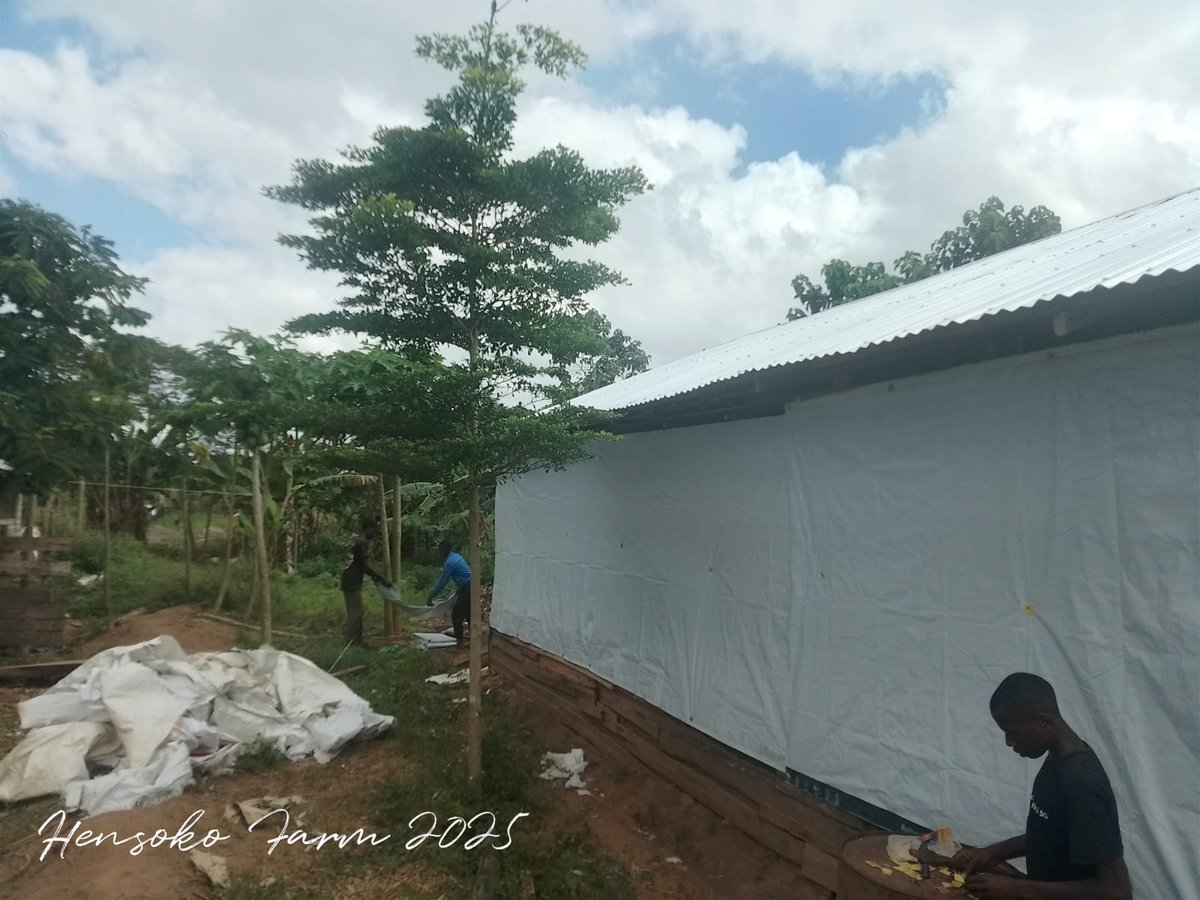 ReltexK's tweet photo. Real Stories. Real Uses. Real Impact.
One farmer used our heavy-duty tarpaulins to build a warm, durable shelter for their chickens  protecting them from rain, wind, and heat.
Another customer used our tarpaulins to dry maize safely and efficiently  keeping it clean, dry. https://t.co/SSZ4b2pUWw