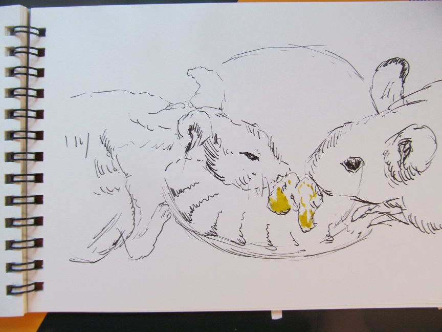 YAMAMOTO KEIJI （山本京嗣）（京三） on X