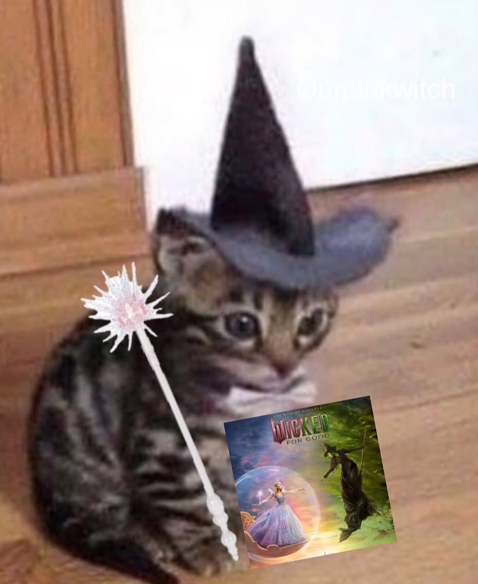 what movie do you want to see today?: 

me in the cinema on november 21st: