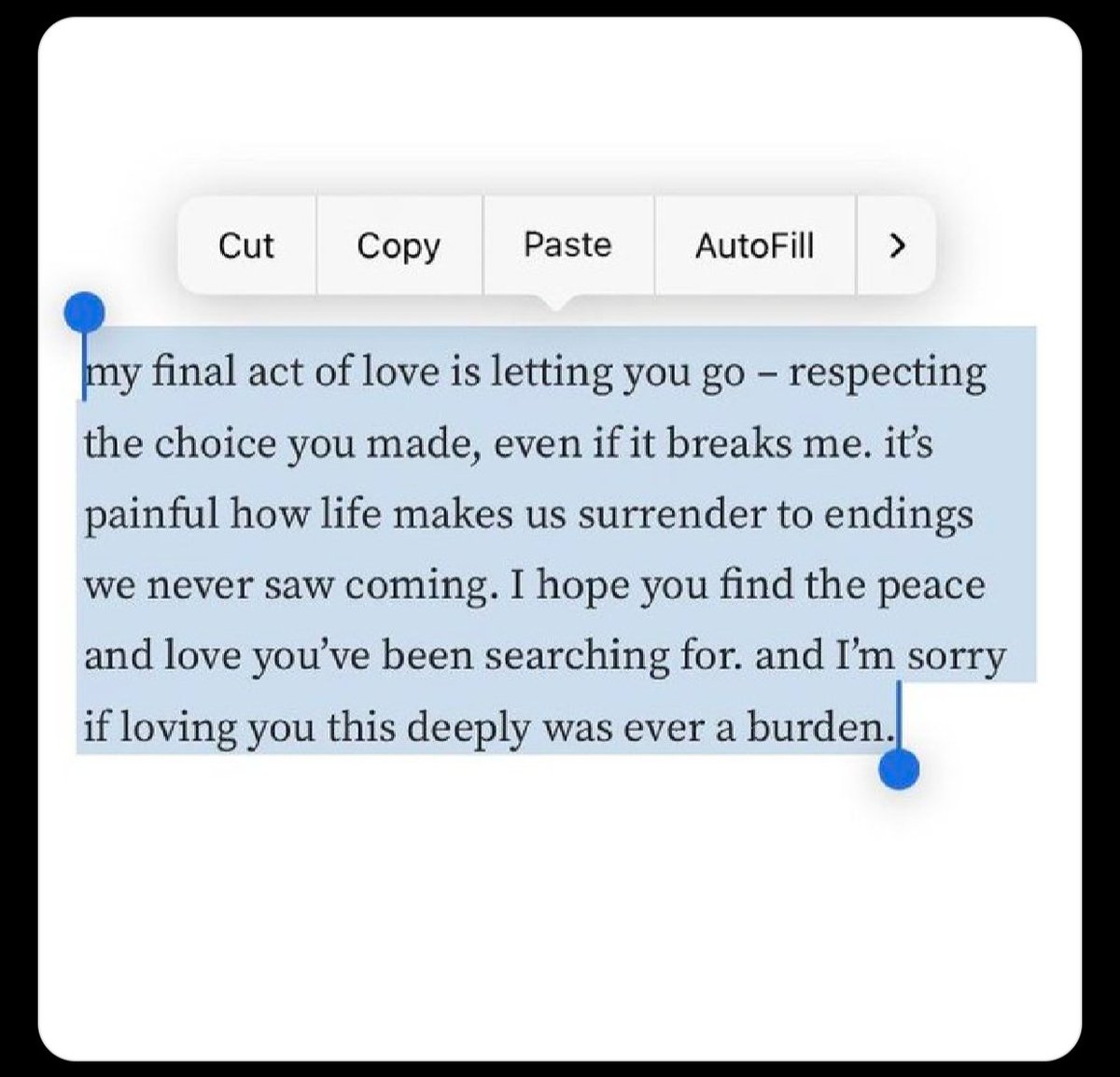 Anika (@aanika_z) on Twitter photo 