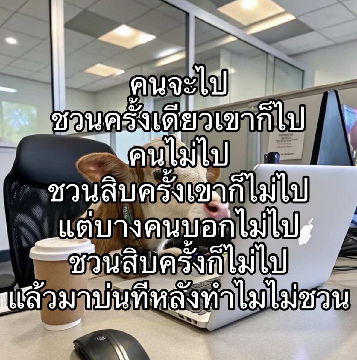 ใครสักคนกล่าวไว้ tweet media