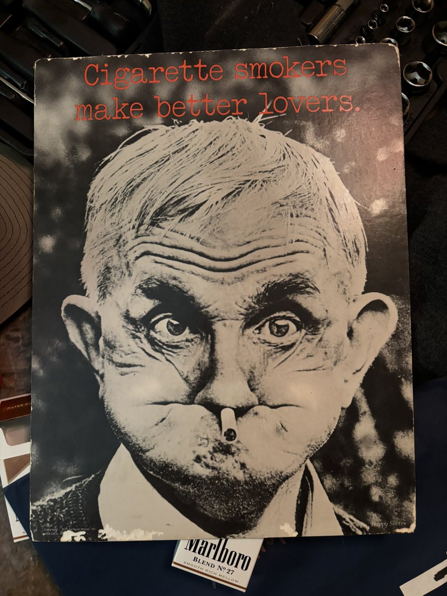 Sadie Mackenzie 🏳️‍⚧️ tweet media