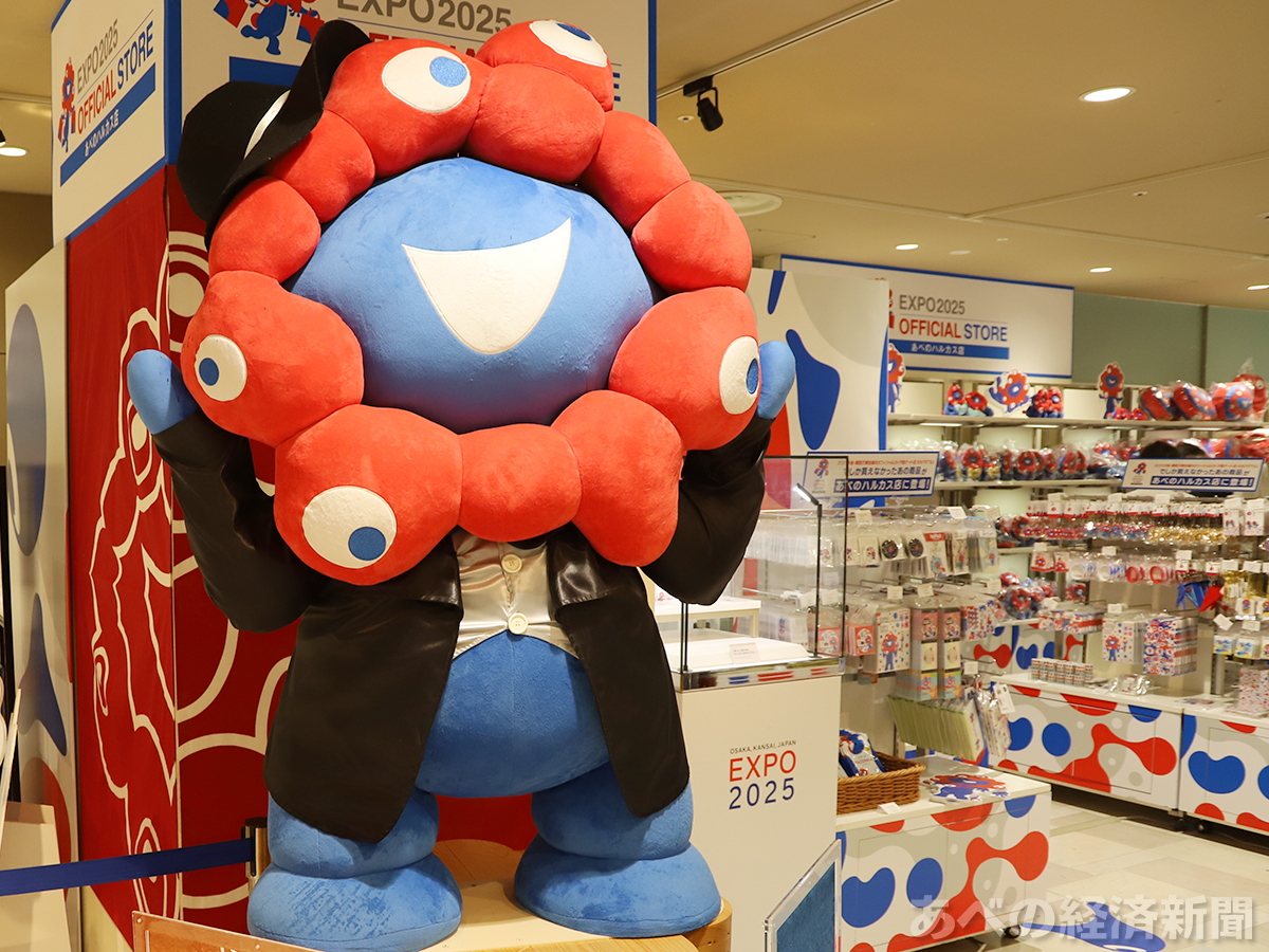 miyaさん はる交配✡️ハル×しずく✡️ミヤ苗 命名同士 多肉 抜き苗 うづきはるゆめ (@haruyume_u) / Posts / X