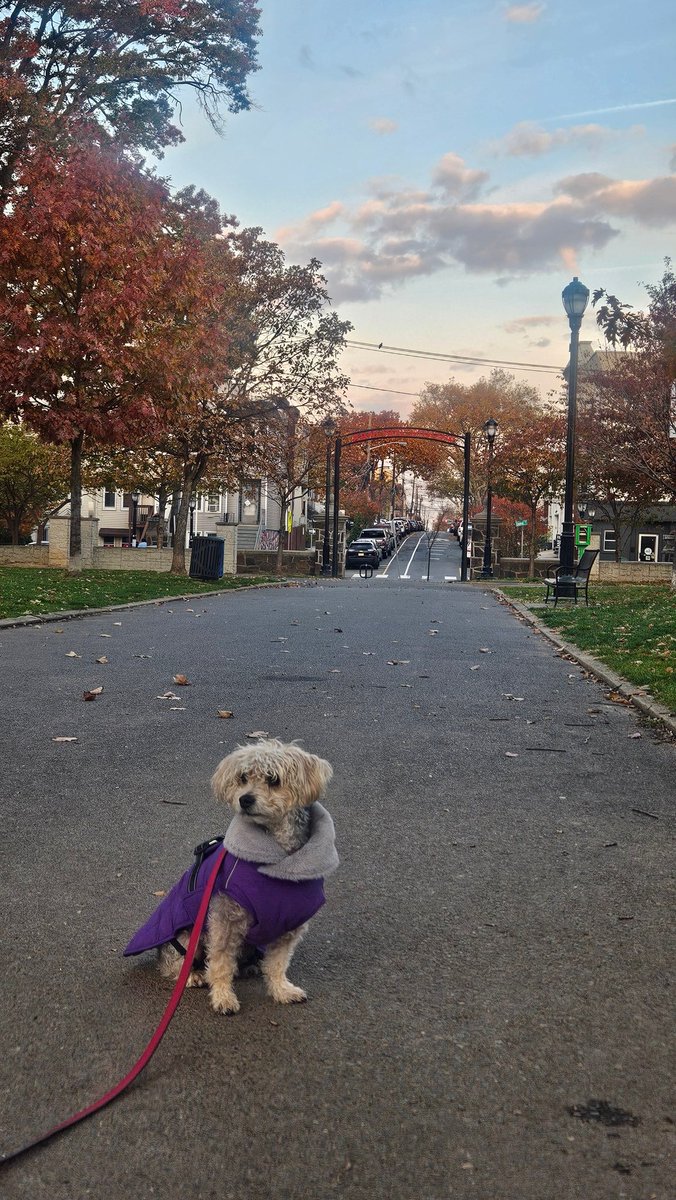 ブーさん。大好きなマヨチャンが1週間のお泊まり中でチョット嬉しい。