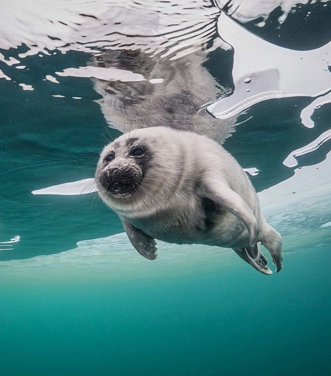 dude he’s so chopped but he does have aura so it balances out