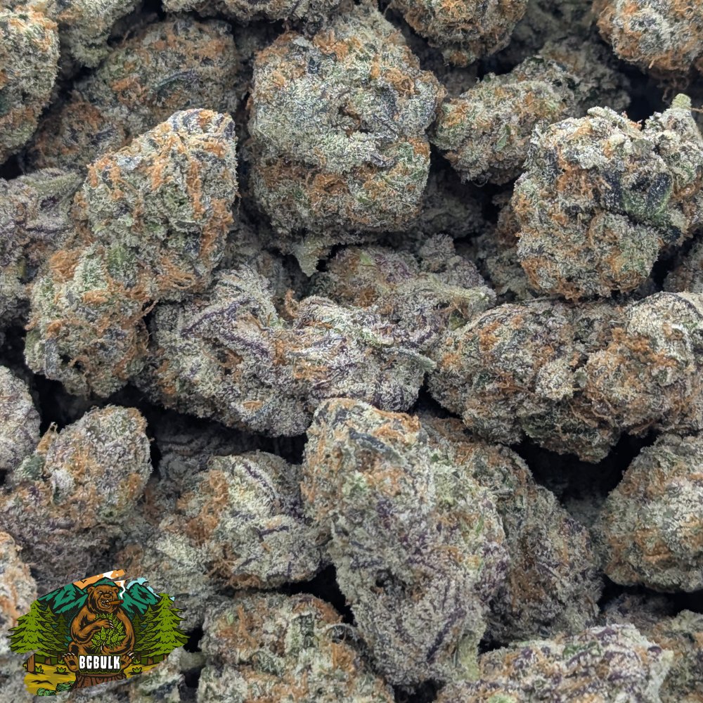BulkCannabiscc's tweet photo. Purple Kush Breath is a heavy indica with sweet, earthy aromas and deeply relaxing effects. Perfect for unwinding and easing into restful calm. 

https://t.co/xcnX0KOjDt

#IndicaVibes #CannabisCommunity https://t.co/SwALYwR9dZ