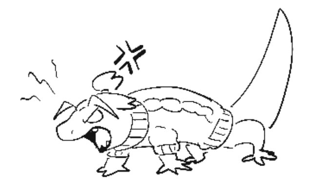 594fmz's tweet image. 🦎