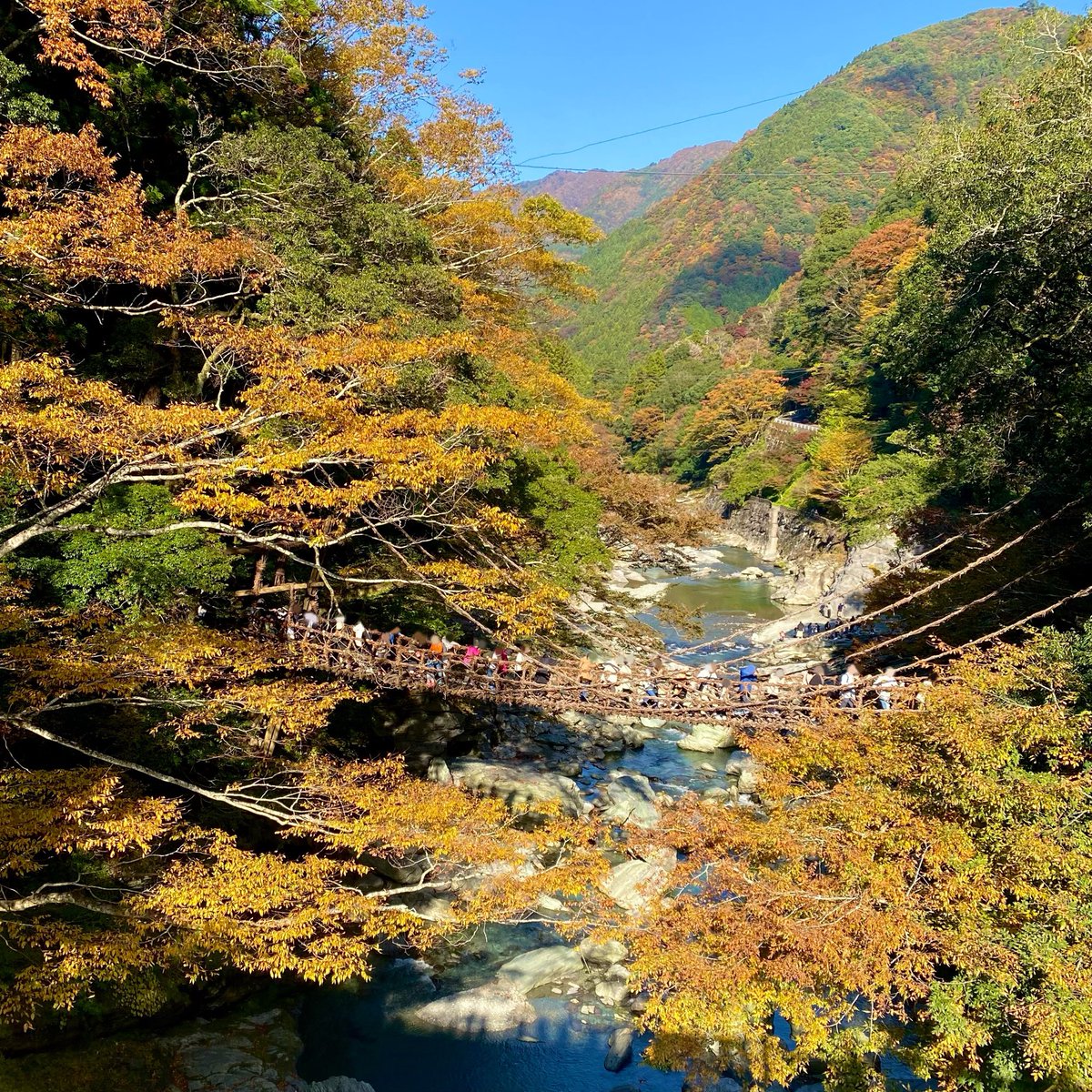 樹の上の散歩 小乃マル on X