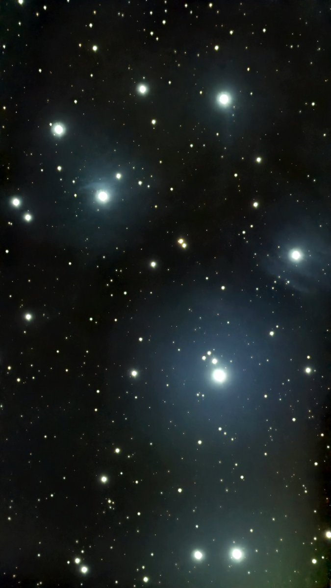 Pichanon tweet media