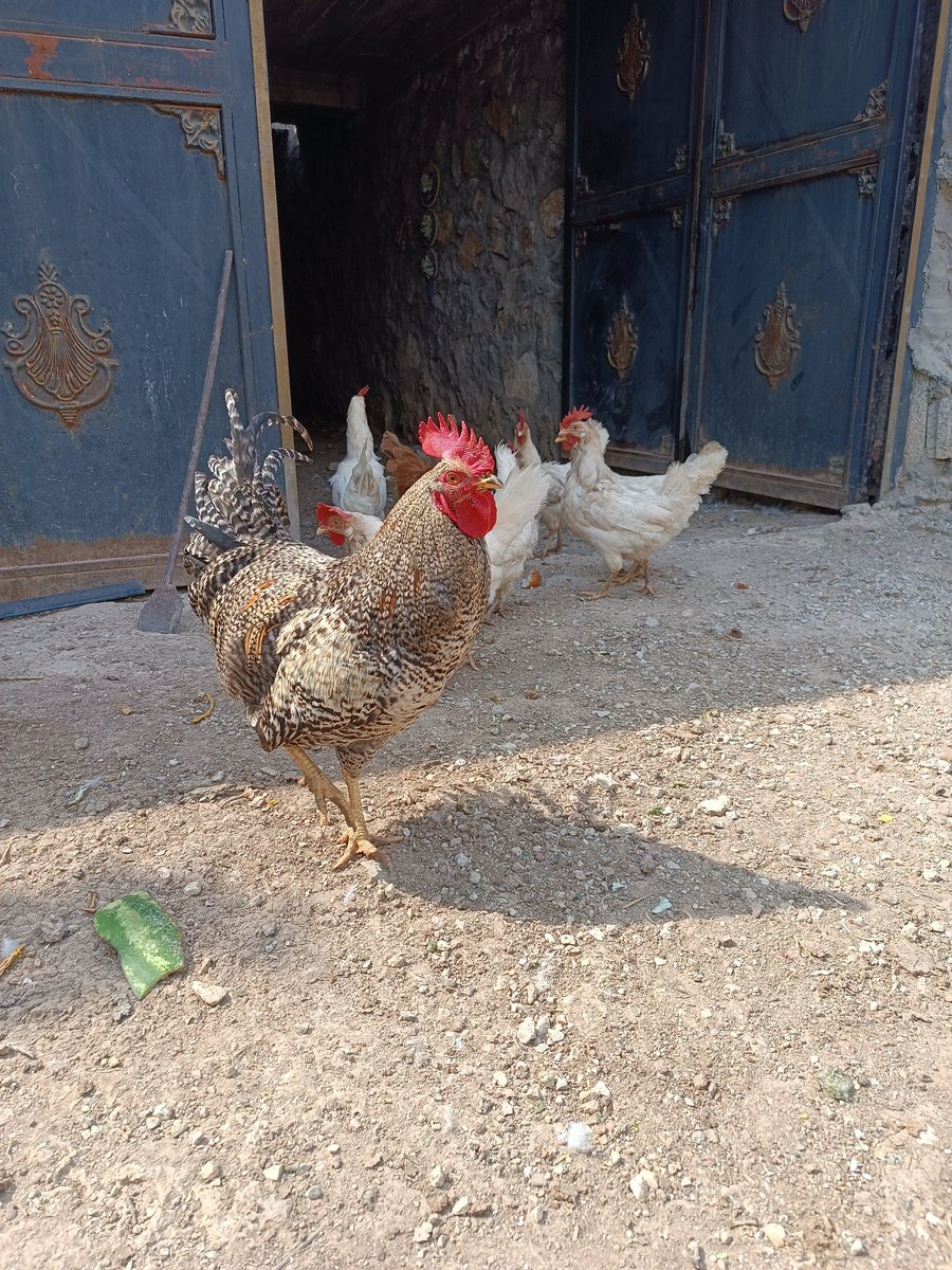 Her gün doğumu hem bir yük hem de bir vaat taşır. Yıkılmamış olmanıza gerek yok; sadece yeniden başlamaya istekli olmanız yeterli.
Gün güzellikler getirsin.