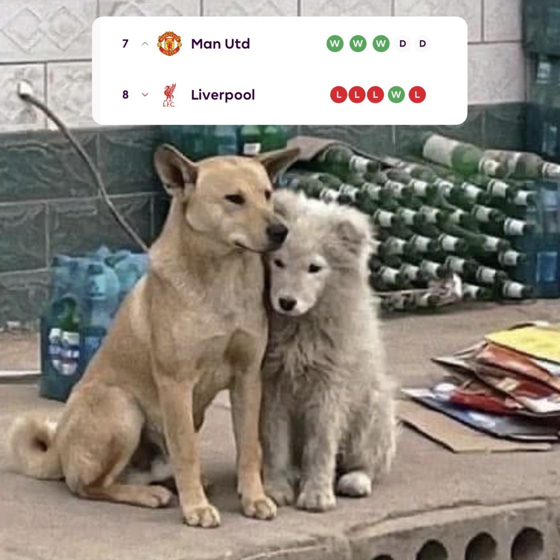 ”คุณหนูอย่าเข้ามาใกล้กระผมเลยคับ“
“ทำไมล่ะ?”
“กระผมกลัวเลอะ”