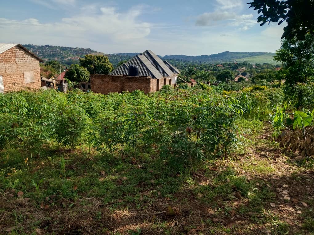 shukranproperty's tweet photo. PLOT FOR SALE ON ENTEBBE ROAD
50ft by 100ft~ #12Decimals
Located at Kitende Kitovu
Selling Price at #55m Ugx
Power and water available
Private Mailo Land title
0706592177 https://t.co/IFfw9S3xNt