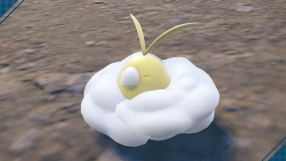 owl_yam's tweet photo. スヤスヤシリーズも💤 https://t.co/KcN1FxbLtJ