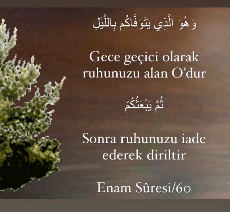 Handan Özduygu (@handanozduygu) on Twitter photo 