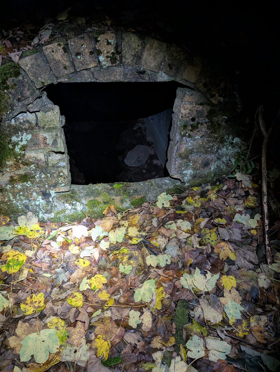 MoniqueMonsters's tweet image. Unironically i was lost in the pitch black Woods while i was watching this exact part of Vinny&apos;s stream no joke