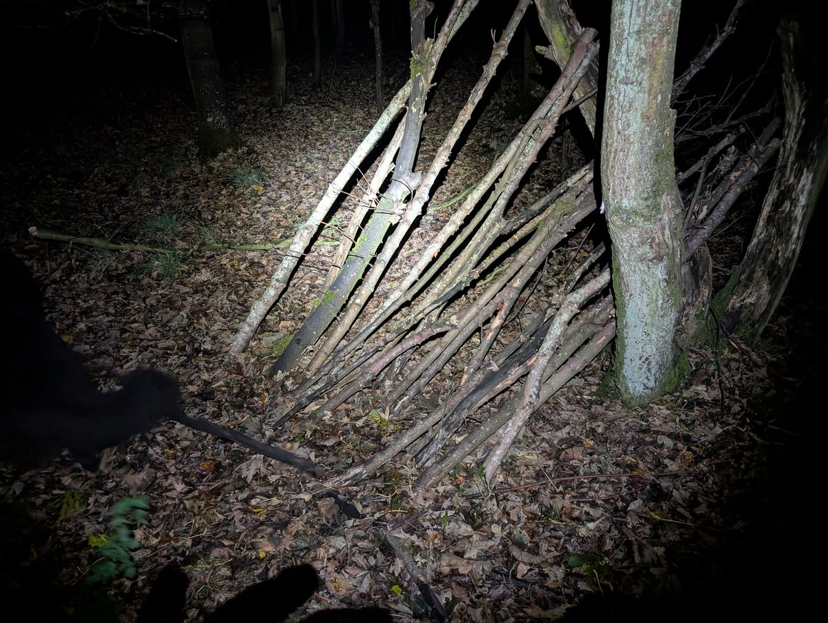 MoniqueMonsters's tweet image. Unironically i was lost in the pitch black Woods while i was watching this exact part of Vinny&apos;s stream no joke