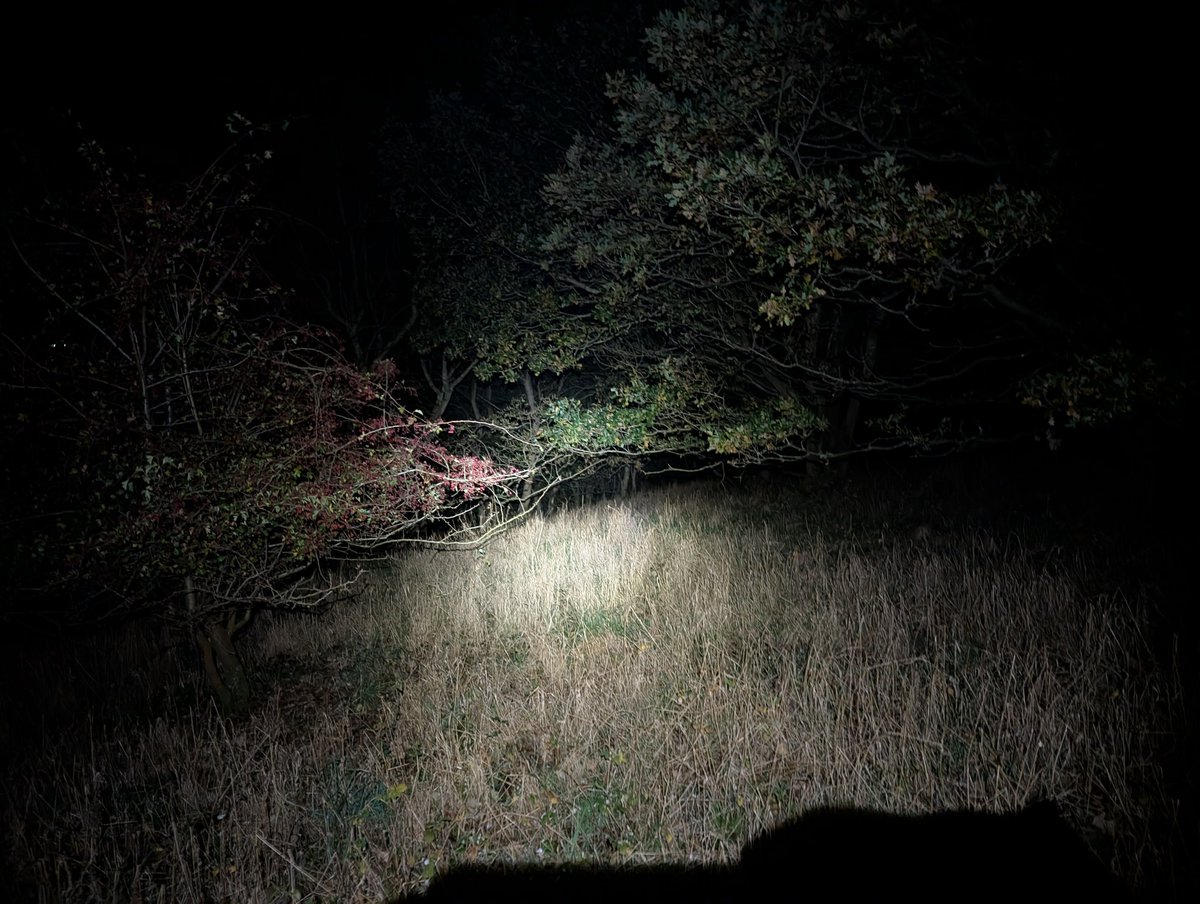 MoniqueMonsters's tweet image. Unironically i was lost in the pitch black Woods while i was watching this exact part of Vinny&apos;s stream no joke