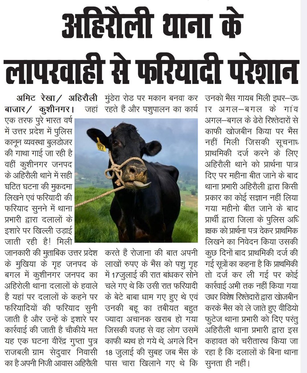 थाना अहिरौली बाजार का है मामला बोदरवार कस्बे में भैंस ले जाते हुए चोर दिखाई भी दिए हैं जिसका विडियो क्लिप पुलिस को सौंपा जा चुका है।चोरी के स्थान व बोदरवार का अब तक लोकेशन नहीं निकाल पाई पुलिस 
<a href="/Uppolice/">UP POLICE</a> <a href="/dgpup/">DGP UP</a> <a href="/Igrangelucknow/">IG Range Lucknow</a> <a href="/digrangelkw/">Dig Range Lucknow</a> <a href="/kushinagarpol/">Kushinagar Police</a>