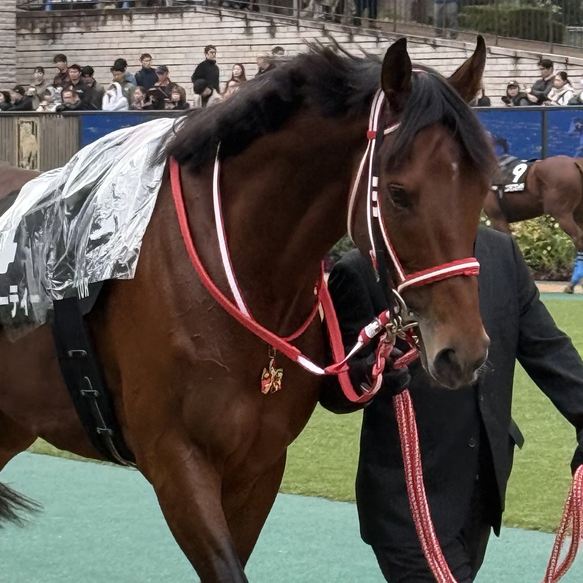 yuki🐴 (@yuki87horserace) / Posts / X