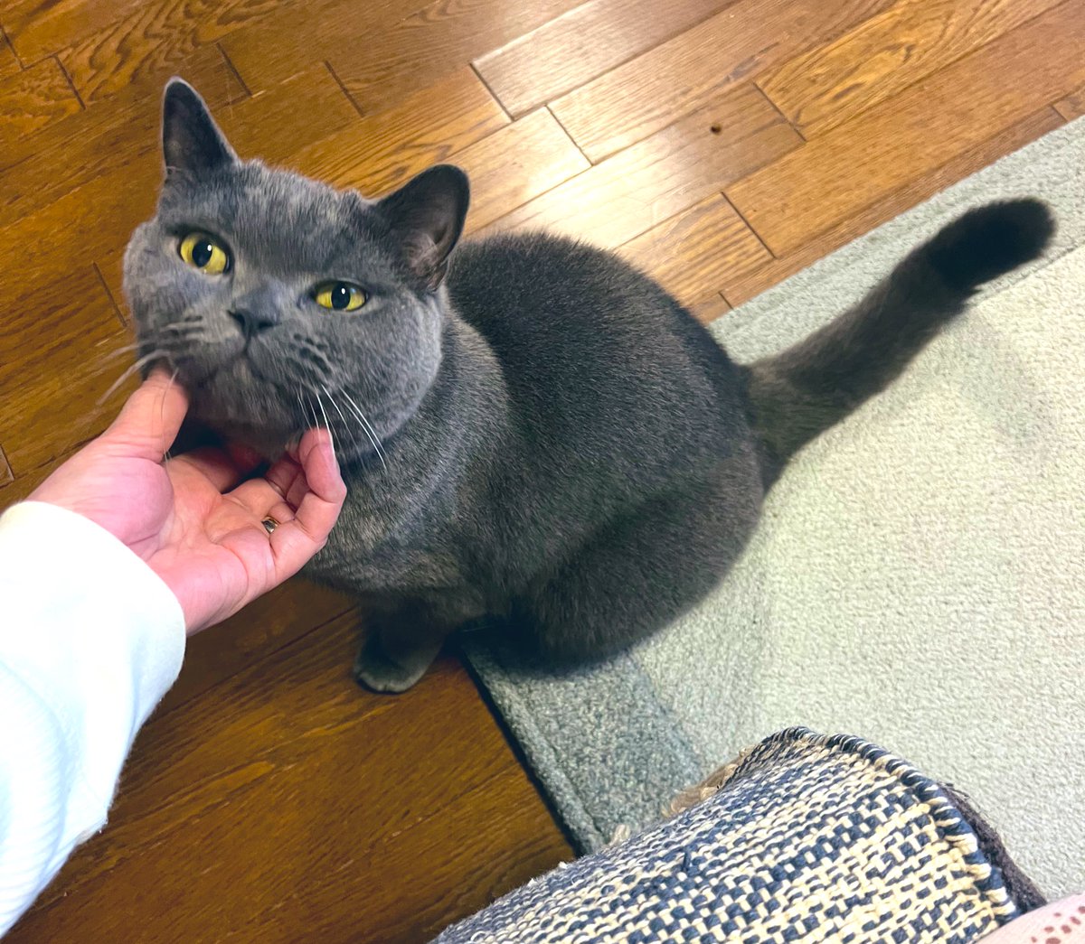 E5%85%A5%E9%87%91%E6%B8%88%E3%81%BF