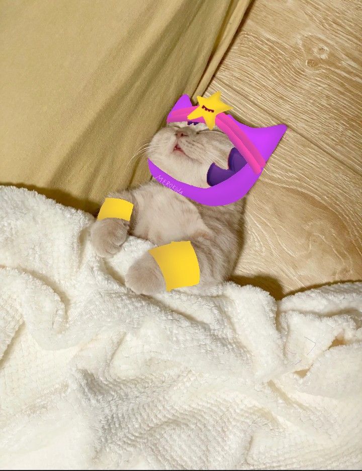 Day 88:
How Bibi sees sandy 🩷
#SandyDaily #BrawlStars #brawlstarssandy