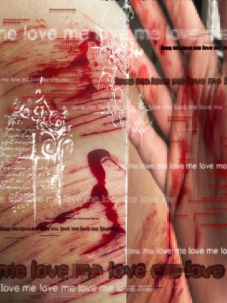 Noah ✦ 𓏲₊˚ tweet media