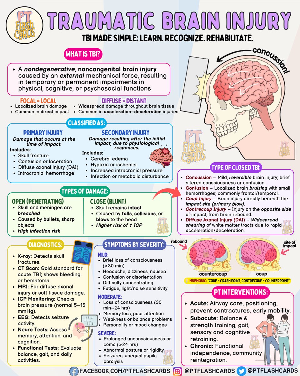 PT flashcards tweet media