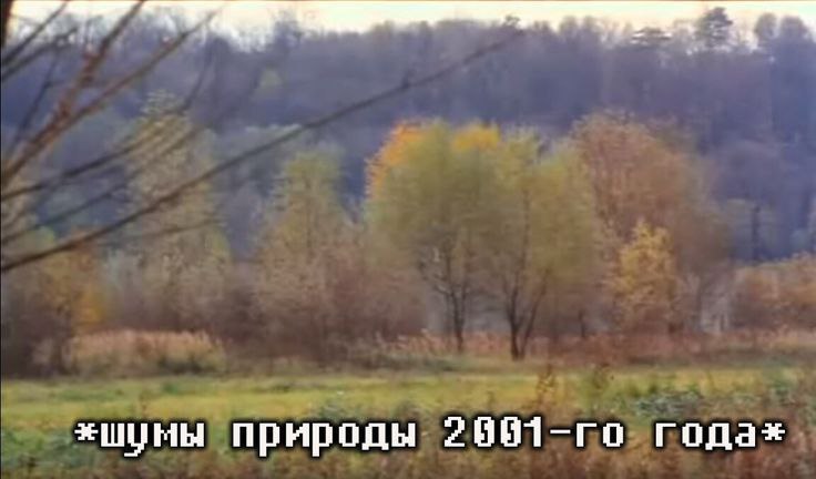 ты не панк (@ssusperior) on Twitter photo 