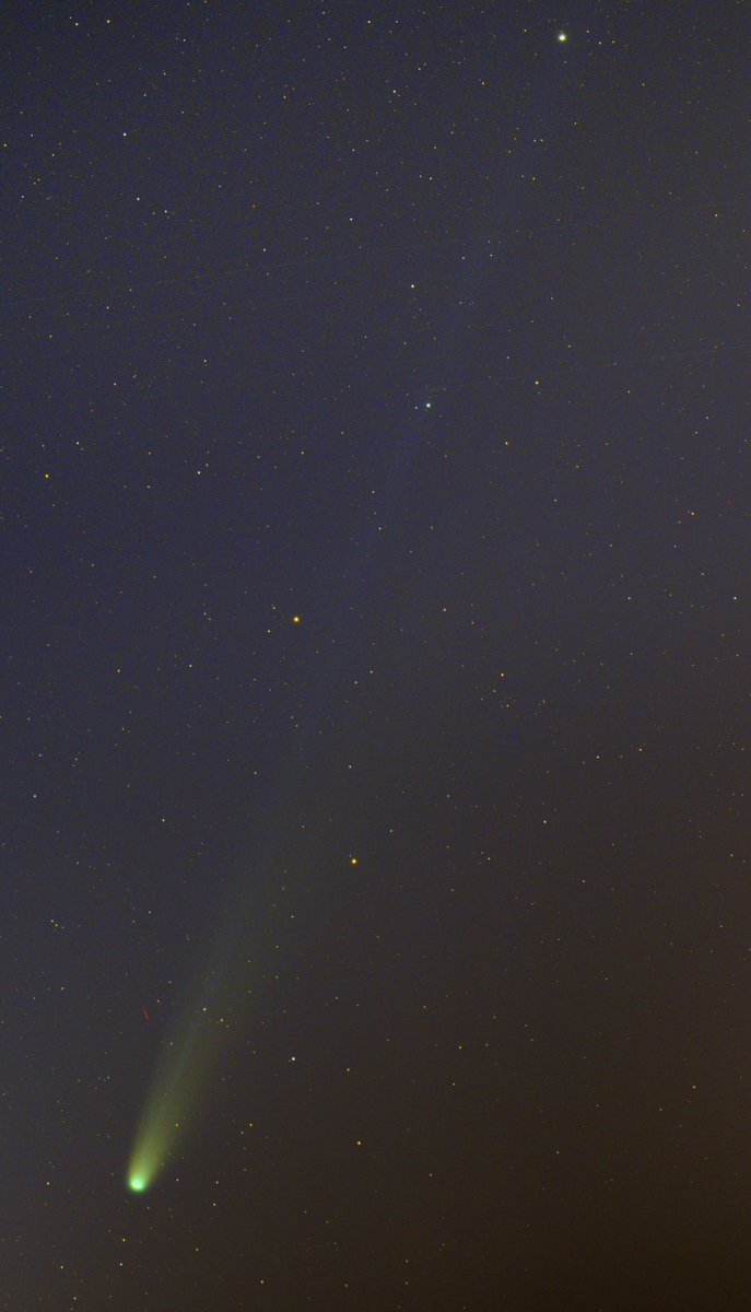 なんとか写ったよ。レモン彗星の2本の尾。処理がへたっぴです🙇